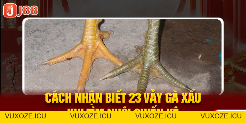 23 Vảy Gà Xấu Khiến Nhiều Kê Thủ Phải Lắc Đầu Bỏ Qua 23 Vảy Gà Xấu Khiến Nhiều Kê Thủ Phải Lắc Đầu Bỏ Qua