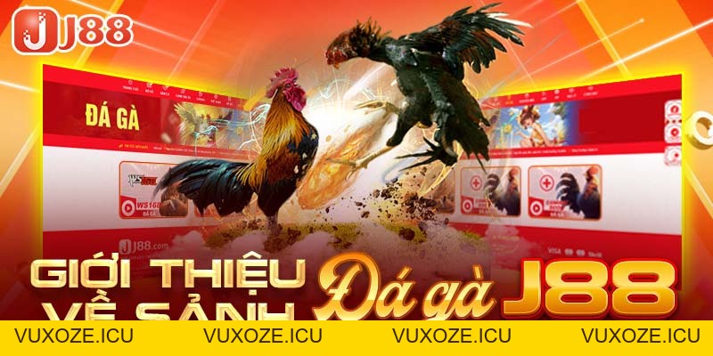 Đá Gà J88 - Nơi Bùng Nổ Đam Mê Cá Cược Của Các Kê Thủ Đá Gà J88 - Nơi Bùng Nổ Đam Mê Cá Cược Của Các Kê Thủ