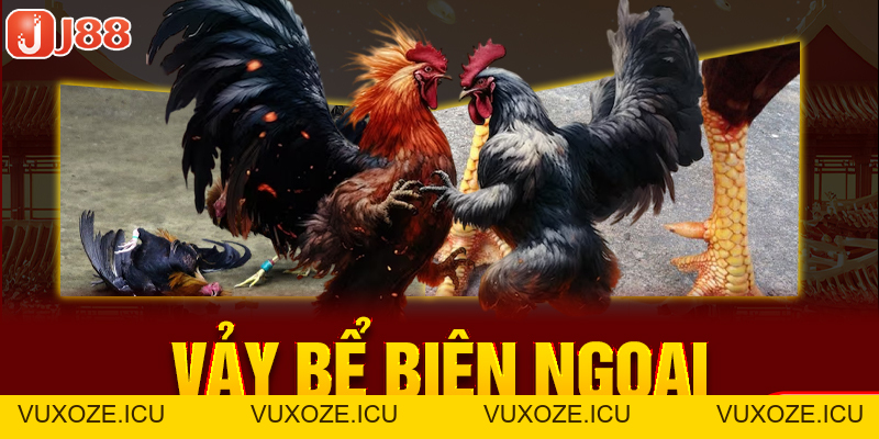 23 Vảy Gà Xấu Khiến Nhiều Kê Thủ Phải Lắc Đầu Bỏ Qua 23 Vảy Gà Xấu Khiến Nhiều Kê Thủ Phải Lắc Đầu Bỏ Qua