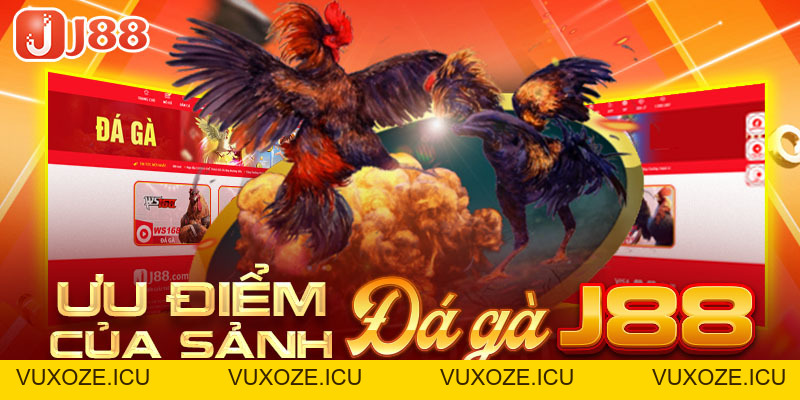 Đá Gà J88 - Nơi Bùng Nổ Đam Mê Cá Cược Của Các Kê Thủ Đá Gà J88 - Nơi Bùng Nổ Đam Mê Cá Cược Của Các Kê Thủ