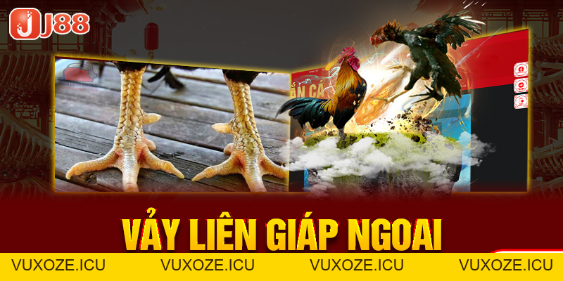 23 Vảy Gà Xấu Khiến Nhiều Kê Thủ Phải Lắc Đầu Bỏ Qua 23 Vảy Gà Xấu Khiến Nhiều Kê Thủ Phải Lắc Đầu Bỏ Qua