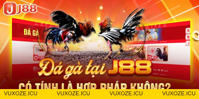 Đá Gà J88 - Nơi Bùng Nổ Đam Mê Cá Cược Của Các Kê Thủ Đá Gà J88 - Nơi Bùng Nổ Đam Mê Cá Cược Của Các Kê Thủ