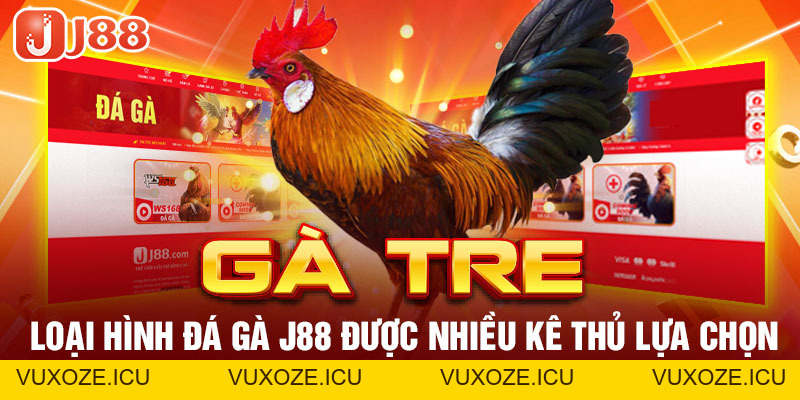 Đá Gà J88 - Nơi Bùng Nổ Đam Mê Cá Cược Của Các Kê Thủ Đá Gà J88 - Nơi Bùng Nổ Đam Mê Cá Cược Của Các Kê Thủ