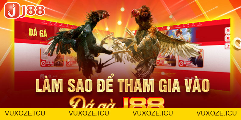 Đá Gà J88 - Nơi Bùng Nổ Đam Mê Cá Cược Của Các Kê Thủ Đá Gà J88 - Nơi Bùng Nổ Đam Mê Cá Cược Của Các Kê Thủ
