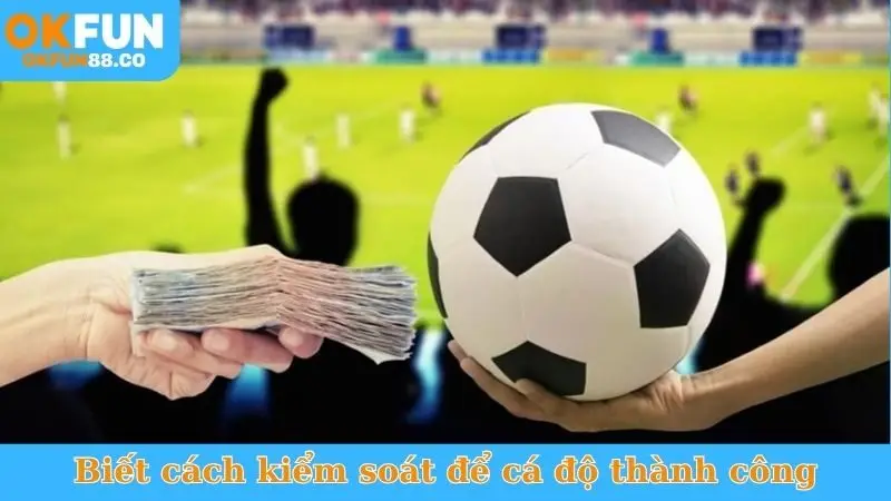 Bí Kíp Chọn Kèo Ít Rủi Ro - Thắng Chắc, Ăn Đậm!