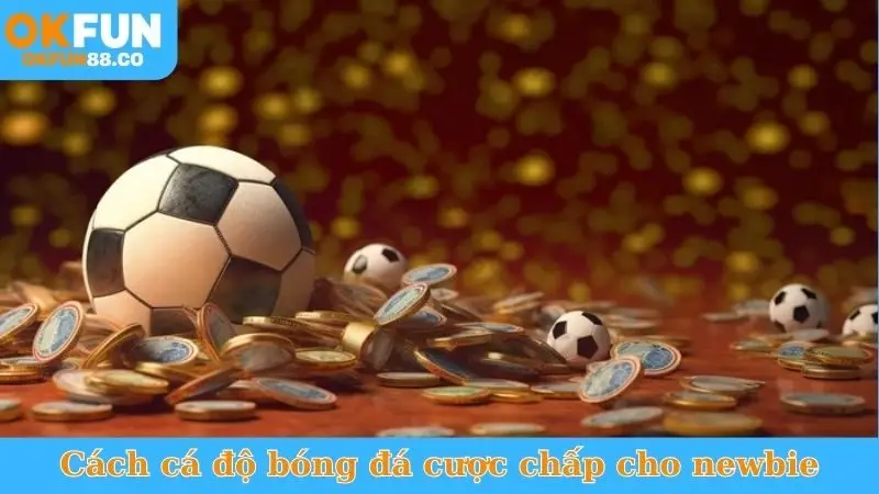 Cách Cá Độ Bóng Đá Cược Chấp - Đánh Đâu Thắng Đó!