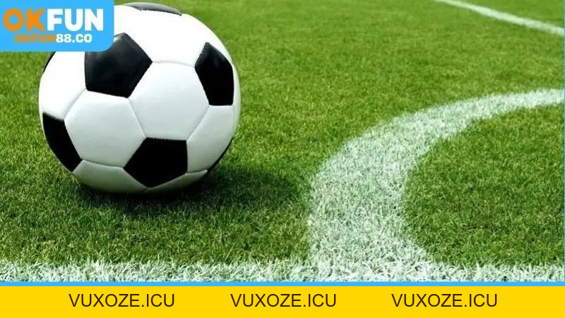 Mẹo đánh tỷ số: Bí quyết cá cược từ cao thủ cá độ bóng đá
