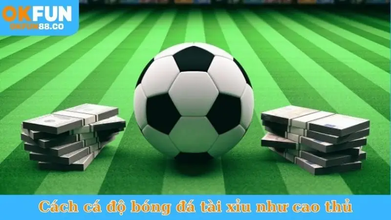 Cách Cá Độ Bóng Đá Tài Xỉu - Bí Quyết Nhanh Rinh Thưởng