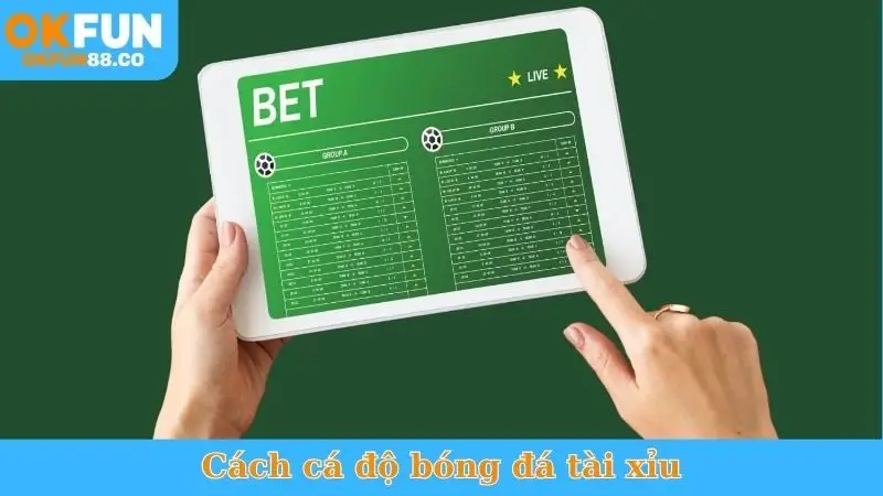 Mẹo đánh tỷ số: Bí quyết cá cược từ cao thủ cá độ bóng đá