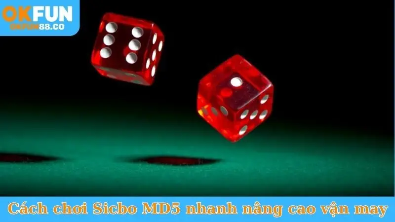 Nắm Vững Cách Chơi Sicbo MD5 - Kiếm Tiền Triệu Mỗi Ngày