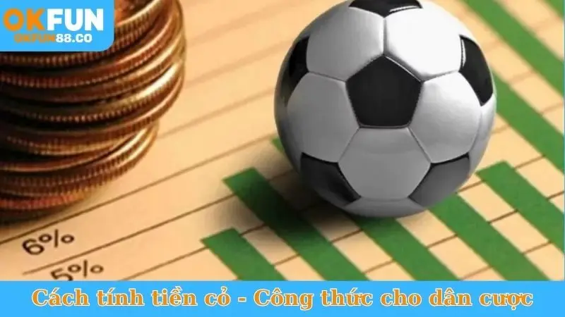 Cách Tính Tiền Cỏ - Công Thức Chuẩn, Nhận Hoàn Trả Khủng!
