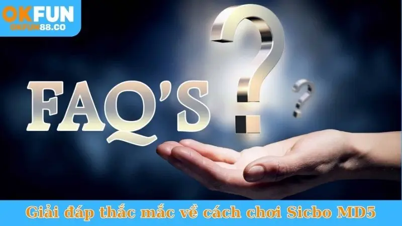 Nắm Vững Cách Chơi Sicbo MD5 - Kiếm Tiền Triệu Mỗi Ngày