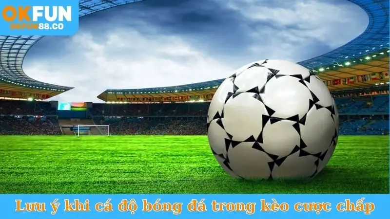 Cách Cá Độ Bóng Đá Cược Chấp - Đánh Đâu Thắng Đó!