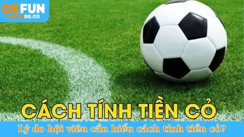 Cách Tính Tiền Cỏ - Công Thức Chuẩn, Nhận Hoàn Trả Khủng!