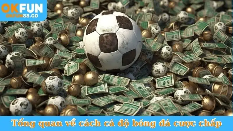 Cách Cá Độ Bóng Đá Cược Chấp - Đánh Đâu Thắng Đó!