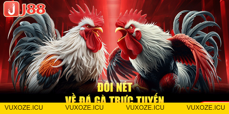 Đá Gà Trực Tuyến - Sôi Động, Kịch Tính Từng Khoảnh Khắc Đá Gà Trực Tuyến - Sôi Động, Kịch Tính Từng Khoảnh Khắc