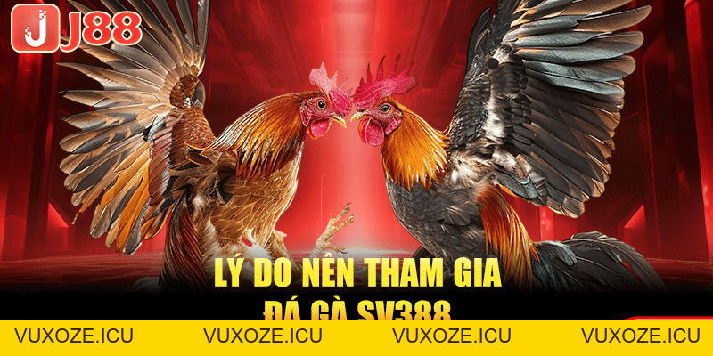 Đá Gà SV388 | Sân Chơi Đá Chọi Kịch Tính TOP #1 Hiện Nay Đá Gà SV388 | Sân Chơi Đá Chọi Kịch Tính TOP #1 Hiện Nay