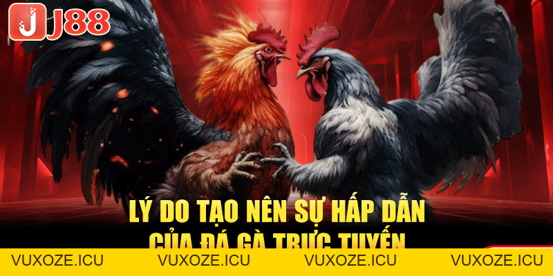 Đá Gà Trực Tuyến - Sôi Động, Kịch Tính Từng Khoảnh Khắc Đá Gà Trực Tuyến - Sôi Động, Kịch Tính Từng Khoảnh Khắc