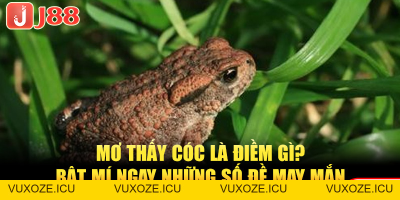 GIẢI MÃ GIẤC MƠ - J88 🎖️ Nhà Cái J88 Com Uy Tín Top #1 Việt Nam