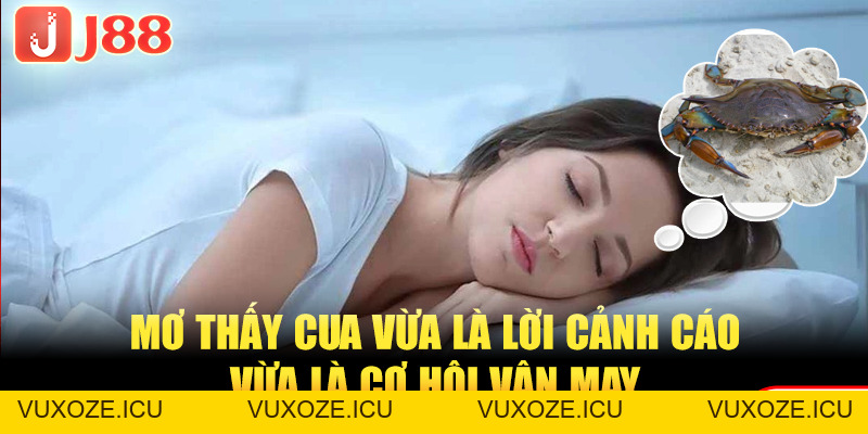Mơ Thấy Cua Và Những Bí Ẩn Giải Mã Chuẩn Xác Nhất A-Z Mơ Thấy Cua Và Những Bí Ẩn Giải Mã Chuẩn Xác Nhất A-Z