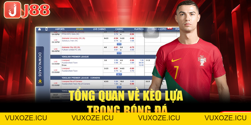 Kèo Lựa Bóng Đá - 03 Tuyệt Chiêu Ăn Kèo Của Dân Chuyên Kèo Lựa Bóng Đá - 03 Tuyệt Chiêu Ăn Kèo Của Dân Chuyên