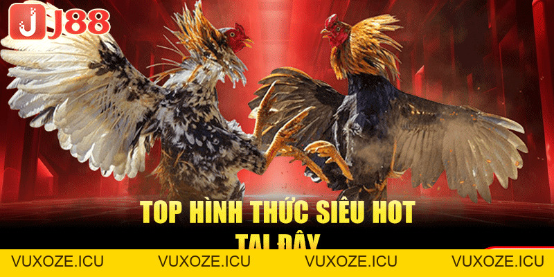 Đá Gà SV388 | Sân Chơi Đá Chọi Kịch Tính TOP #1 Hiện Nay Đá Gà SV388 | Sân Chơi Đá Chọi Kịch Tính TOP #1 Hiện Nay